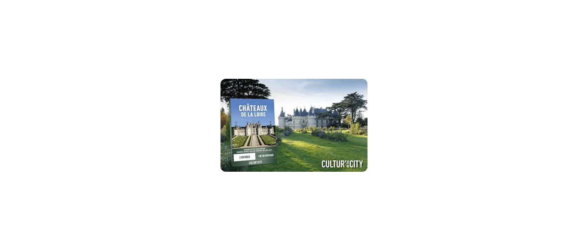 Cultur'in the city - Châteaux de la Loire